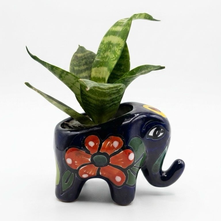 Planta Sansevieria en Maceta de Elefante Talavera Pequeña - Planta de Interior Viva