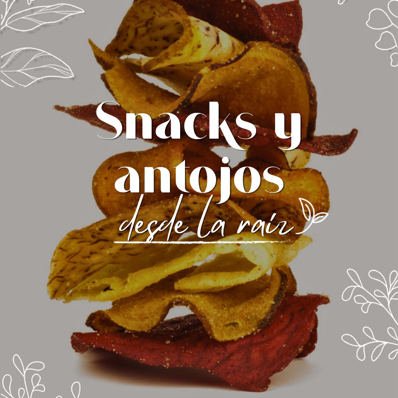 Snacks y antojos