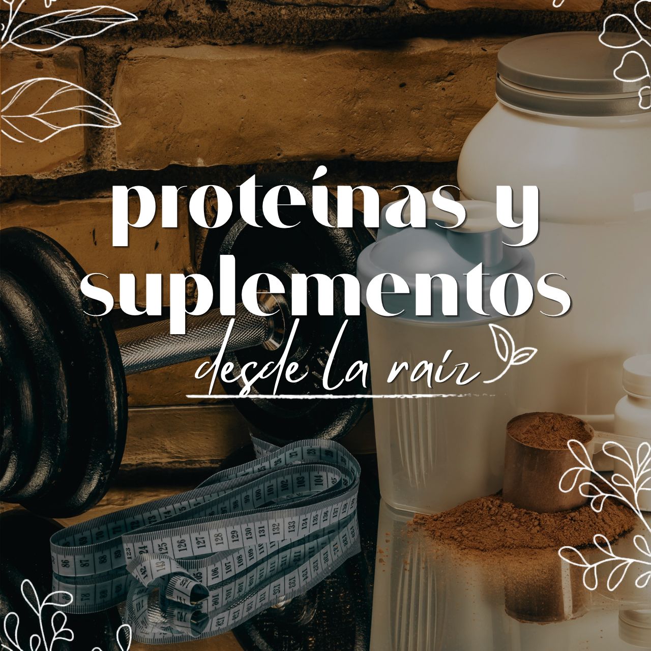 Proteínas y suplementos