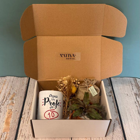 Gift Box Profe de 10