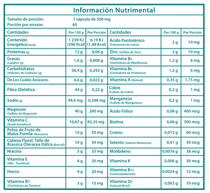 Multi Support - Bariatric
