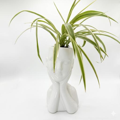 Maceta persona con planta