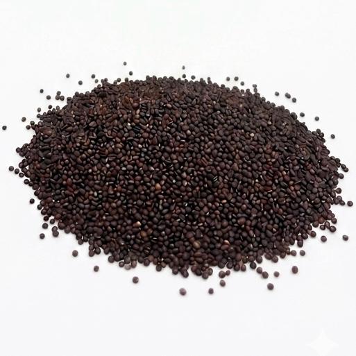 Quinoa Negra – El Superalimento Ancestral de Textura Firme