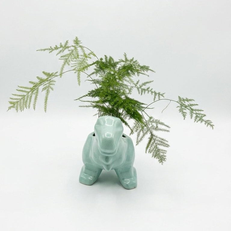Helecho Plumoso – Planta de Interior