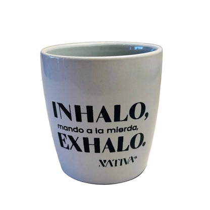 Tazas con frases divertidas | Tazas originales para café (varios diseños)